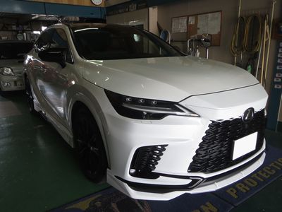 RX500hへGrgo取付